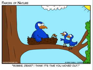 empty-nest-syndrome-quotes-Birds-dealing-with-Empty-Nest-Syndrome.png