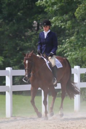 Discuss HGS official horse show *April* -- Hunter Under Saddle at the ...