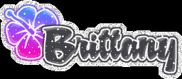 Brittany Glitter Flowers B Names Name Graphics.