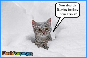 Flu Quotes Funny Quotesfunnyornot Cold