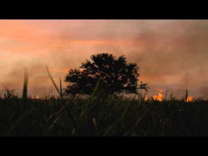 True Detective Tease Clip #1 (HBO)