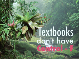 How to become an Entrepreneur ? The Beginner’s Guide