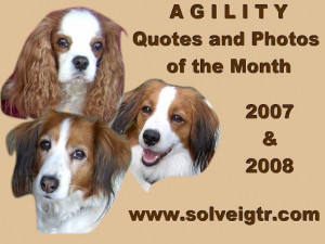 Agility quotes & photos of the month