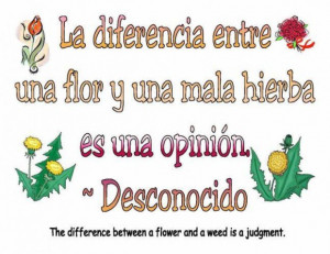 Cute short love quotes in spanish