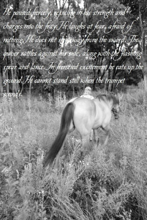 Jabs Blog Bible Quotes About Strength Courage Gcorsuipolwind Picture