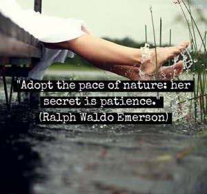 need for immediate gratification. Sometimes they seem to be impulsive ...