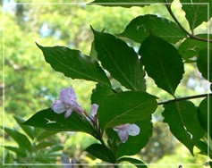 BUYER/SELLER PRESENTATION PACKAGE