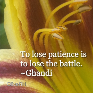 To lose patience is to lose the battle.~Ghandi Oh man! I think I lost ...