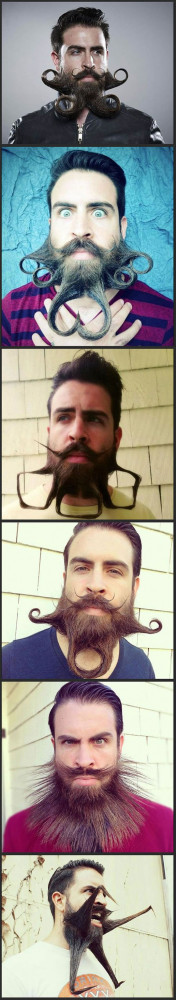 no shave November, I present crazy beard guy // funny pictures - funny ...