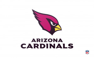 Download American Football Wallpaper Arizona Cardinals Flag