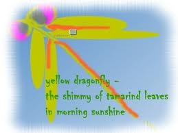 dragonfly quotes - Google Search
