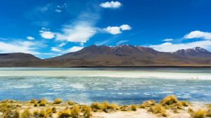 in the land the lord your god is giving you