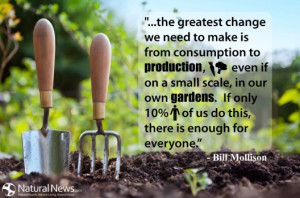 Save the earth--grow your own food