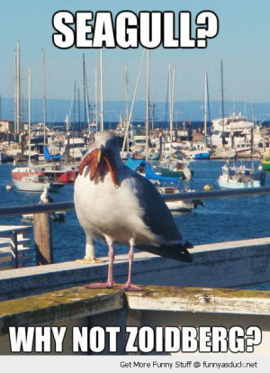 seagull bird animal eating starfish why not zoidberg futurama tv funny ...