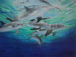Pod of Dolphins by Holly Trew