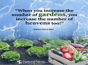 inspiring quotes on agriculture agriculture quotes agnes august 9 2014 ...