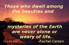 the mysteries and beauties of the Earth, earth, rachel carson, beauty ...