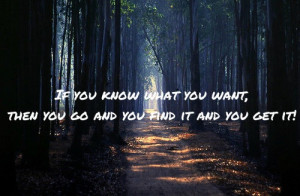 ... go and you find it and you get it. -Stephen Sondheim, Into the Woods