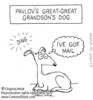 Pavlov's Great-Great Grandson's Dog Pavlov Great Great, Aba Stuff ...