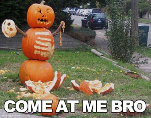 Come at me bro - Pumpkin man - Funny Image, Quotes, Lists, Jokes and ...