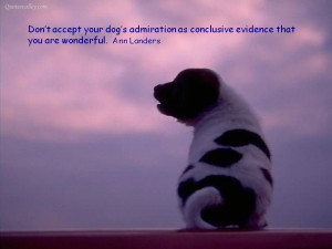 Don’t Accept Your Dog Admiration