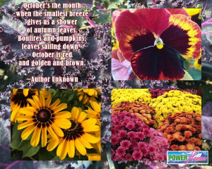 Flower Garden Quotes