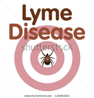 Lyme Disease Tick Insect...