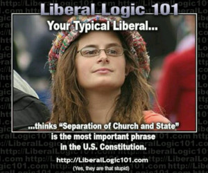 Liberal logic 101, bad argument hippy