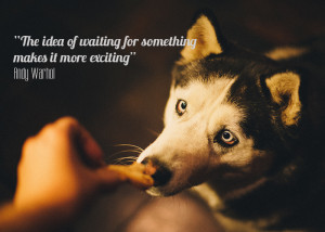 The idea of waiting for something makes it more exciting