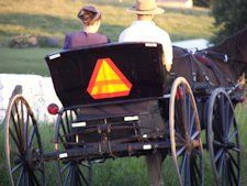 courting Couple...they must ride in an open buggy so no impropriety ...