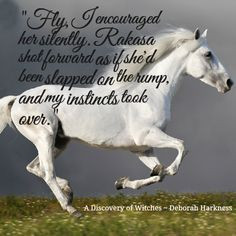 Discovery of Witches by Deborah Harkness, is one of the best books I ...