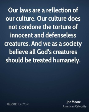Joe Moore - Our laws are a reflection of our culture. Our culture does ...