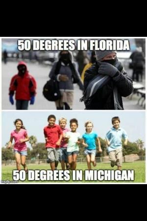 50 degrees in Florida50 degrees in Michigan