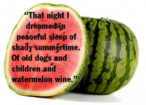 watermelon is my favorite
