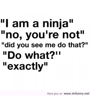 ... christmas, funny december, funny pictures, funny quotes, funny sayings