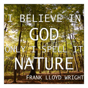 Wordless Wednesday - Frank Lloyd Wright Quote