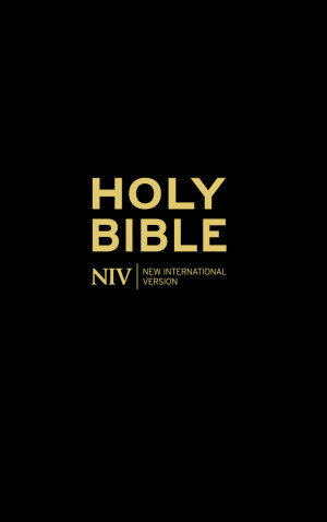 new international version niv is the latest translation of the bible ...