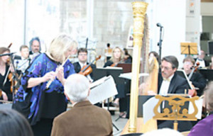 Leslie Zieren and Dan Levitan, harp, perform at the opening of the new ...