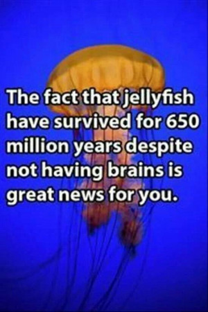 No offense to jellyfish.