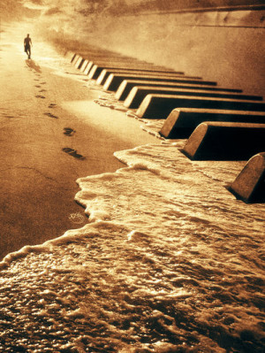 beautiful, music, ocean