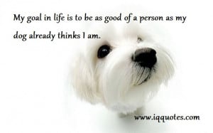 ... in life is to be as good of a person as my dog already thinks I am