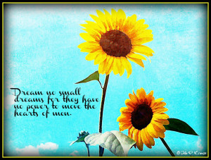 Sunflower Love Quotes I absolutely love how this