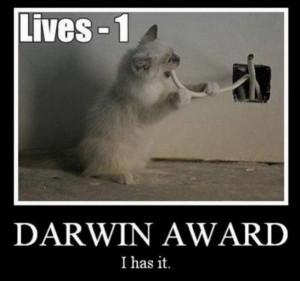 ... images/2011/06/30/motivational-pics-darwin-award-cat_130945925442.jpg