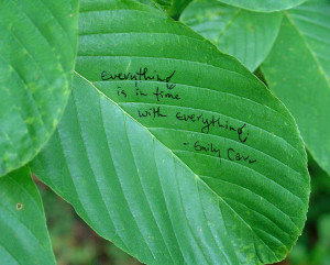 ... Creek Park writing poetry on the leaves 2000-2001 diana lynn thompson