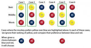 We can see that in the case where the monkey preferred yellow over ...