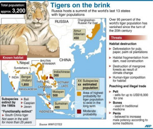 World leaders seek to save the tiger from extinction