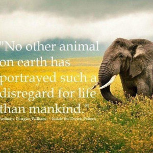 No other animals on earth has portrayed such a disregard for life ...
