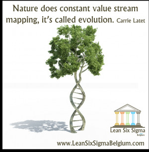 Continuous Improvement Quote - Nature does constant value stream ...