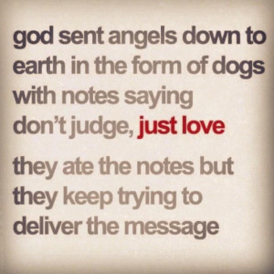 Dogs Are Angels Pictures, Photos, and Images for Facebook, Tumblr ...