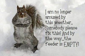 Cold Weather quotes quote winter snow cold weather squirrel winter ...